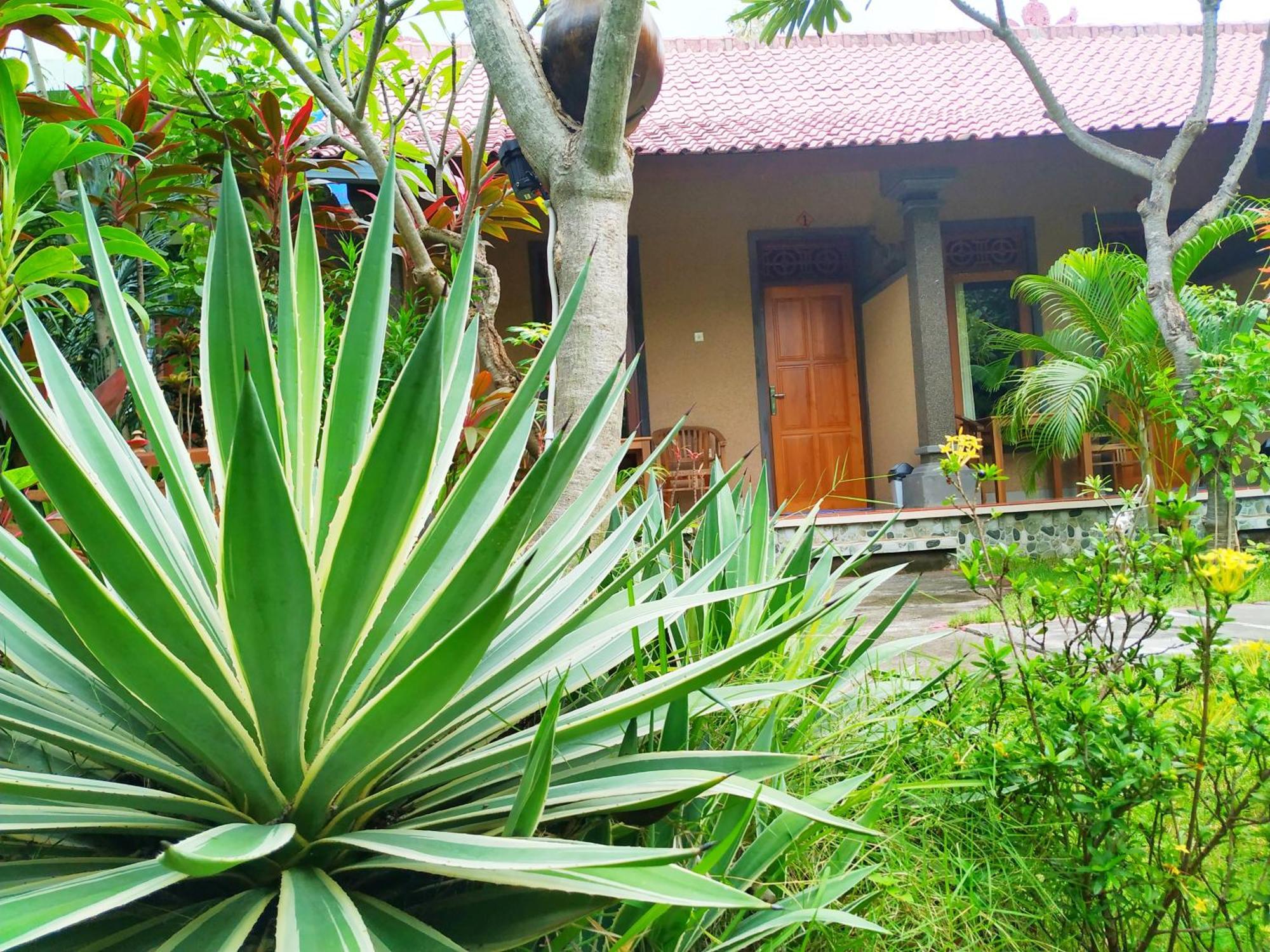 Asih Homestay 佩母得兰 外观 照片